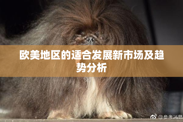 欧美地区的适合发展新市场及趋势分析