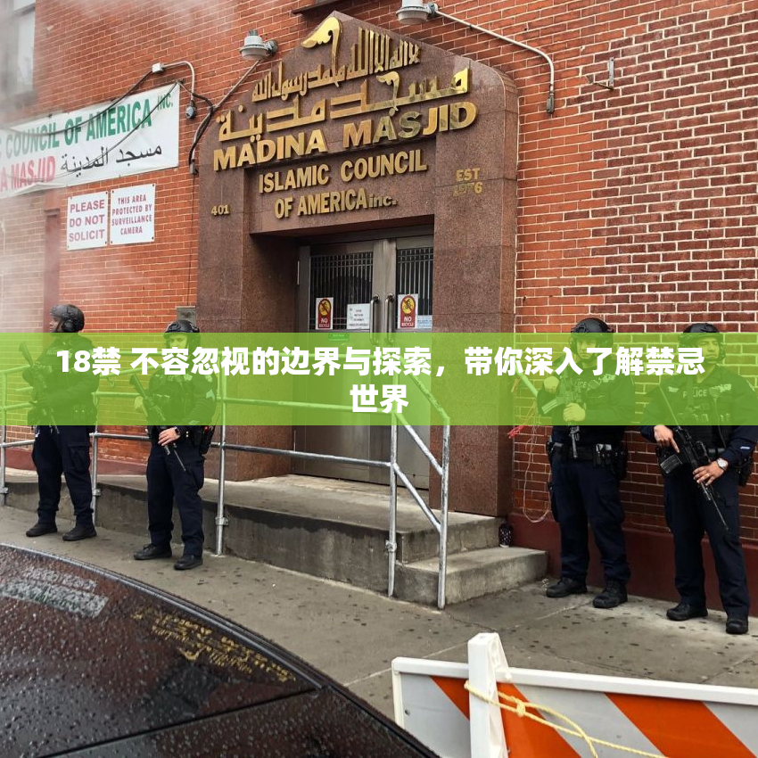 18禁 不容忽视的边界与探索，带你深入了解禁忌世界