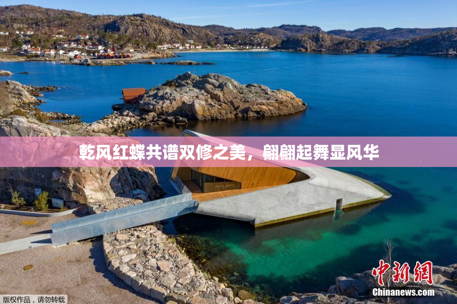 乾风红蝶共谱双修之美，翩翩起舞显风华