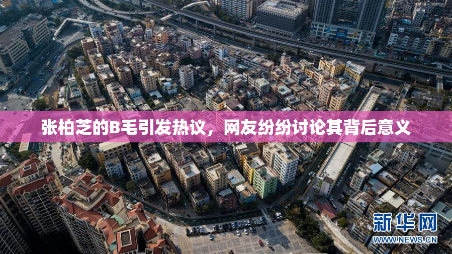 张柏芝的B毛引发热议，网友纷纷讨论其背后意义