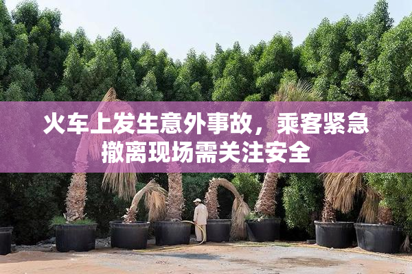 火车上发生意外事故，乘客紧急撤离现场需关注安全