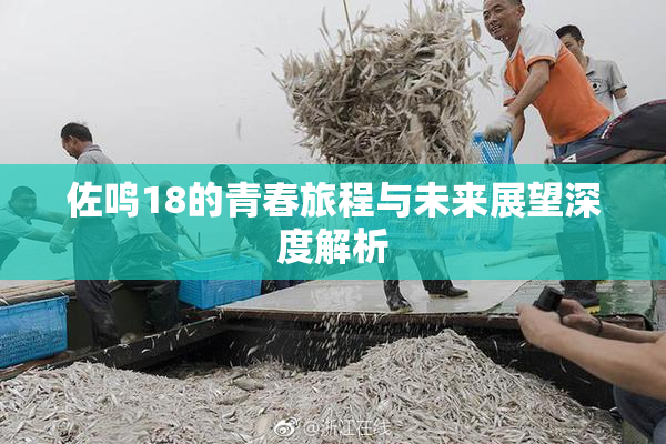 佐鸣18的青春旅程与未来展望深度解析