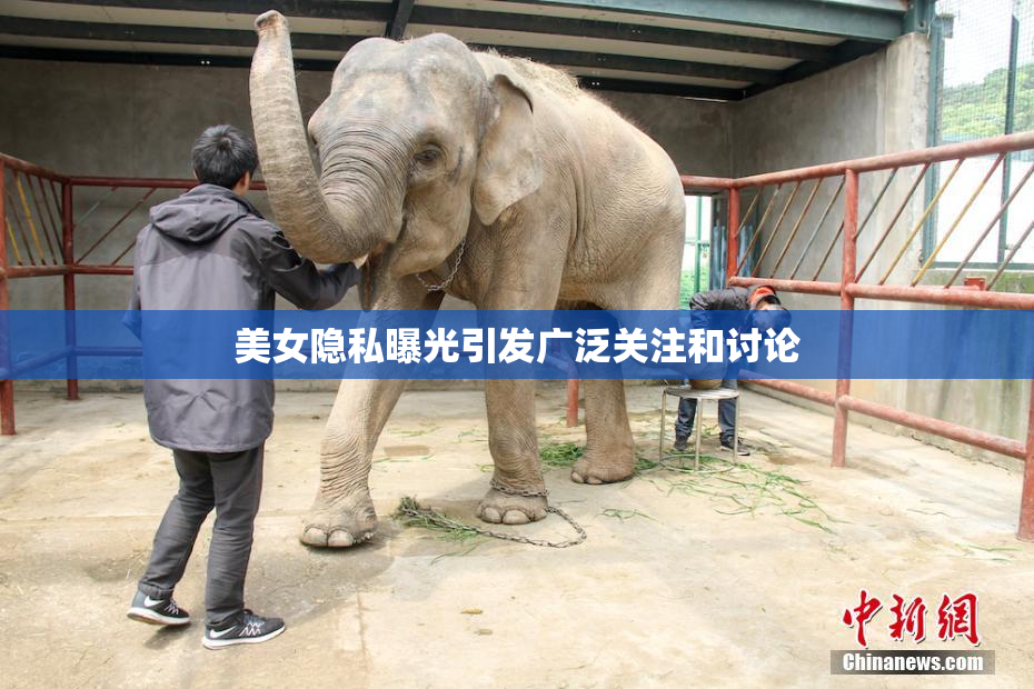 美女隐私曝光引发广泛关注和讨论