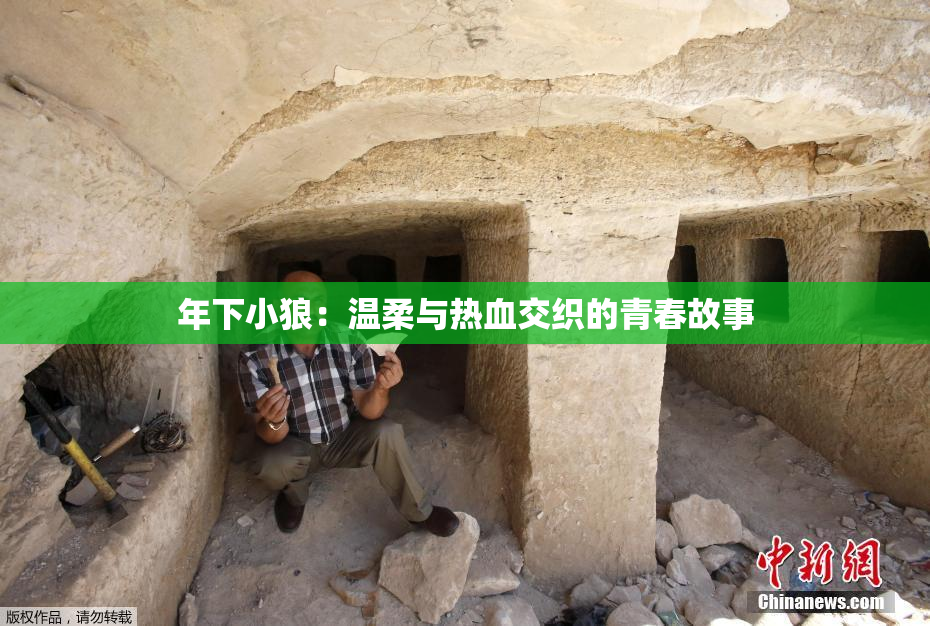 年下小狼：温柔与热血交织的青春故事