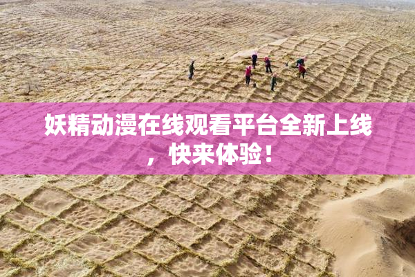 妖精动漫在线观看平台全新上线，快来体验！