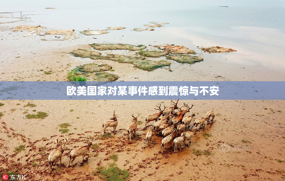 欧美国家对某事件感到震惊与不安