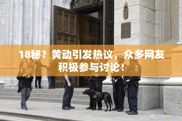 18秘？黄动引发热议，众多网友积极参与讨论！