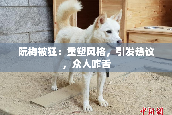 阮梅被狂：重塑风格，引发热议，众人咋舌