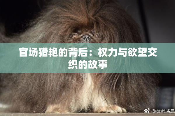官场猎艳的背后：权力与欲望交织的故事