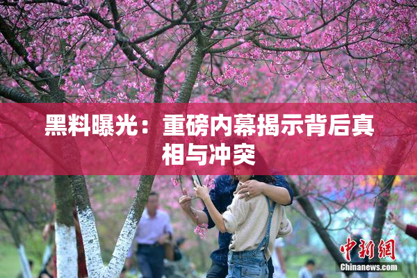 黑料曝光：重磅内幕揭示背后真相与冲突