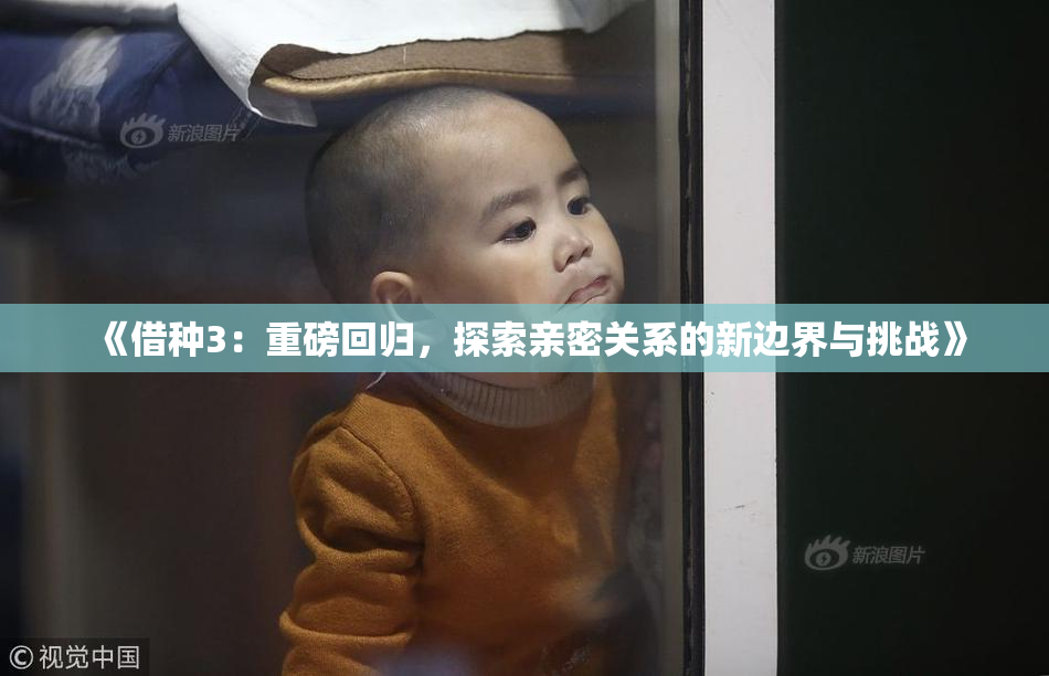 《借种3：重磅回归，探索亲密关系的新边界与挑战》