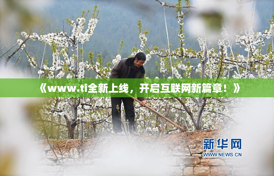 《www.ti全新上线，开启互联网新篇章！》
