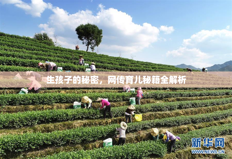生孩子的秘密，网传育儿秘籍全解析