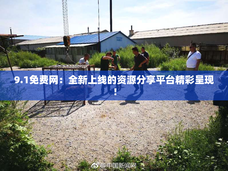 9.1免费网：全新上线的资源分享平台精彩呈现！
