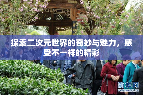 探索二次元世界的奇妙与魅力，感受不一样的精彩