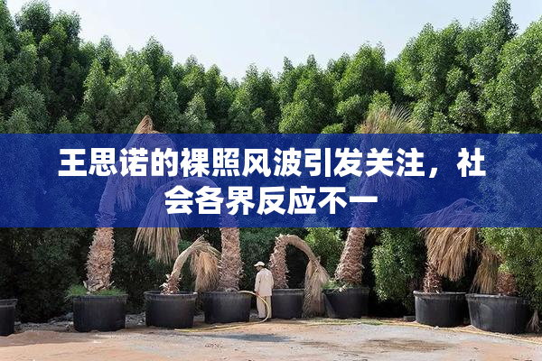 王思诺的裸照风波引发关注，社会各界反应不一