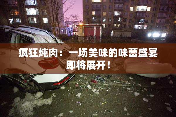 疯狂炖肉：一场美味的味蕾盛宴即将展开！