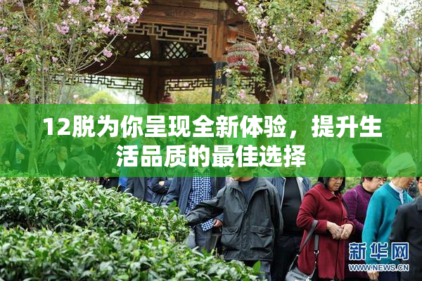 12脱为你呈现全新体验，提升生活品质的最佳选择