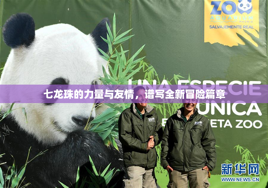 七龙珠的力量与友情，谱写全新冒险篇章