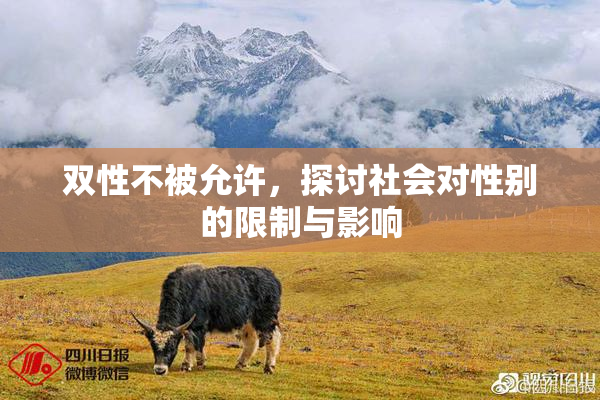 双性不被允许，探讨社会对性别的限制与影响