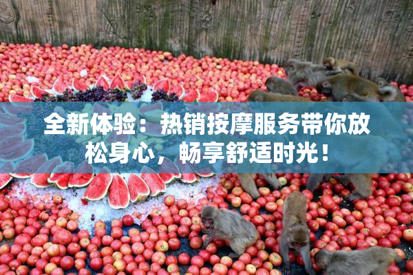 全新体验：热销按摩服务带你放松身心，畅享舒适时光！