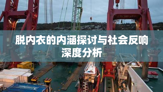脱内衣的内涵探讨与社会反响深度分析