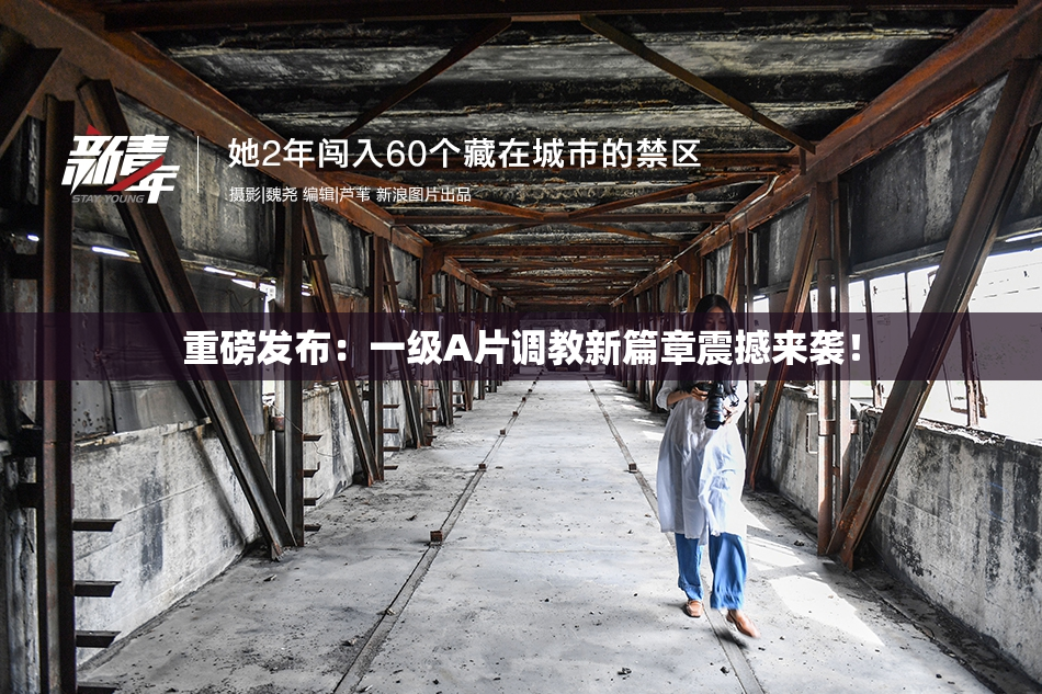 重磅发布：一级A片调教新篇章震撼来袭！