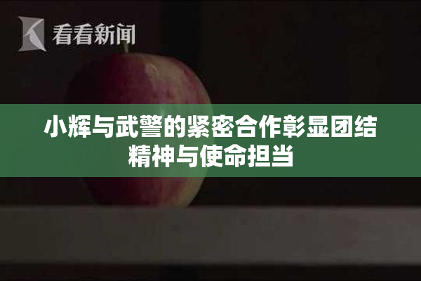 小辉与武警的紧密合作彰显团结精神与使命担当