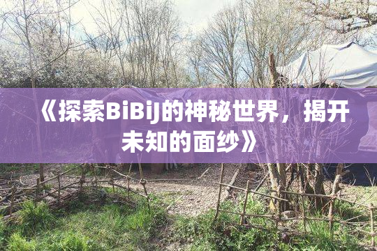 《探索BiBiJ的神秘世界，揭开未知的面纱》