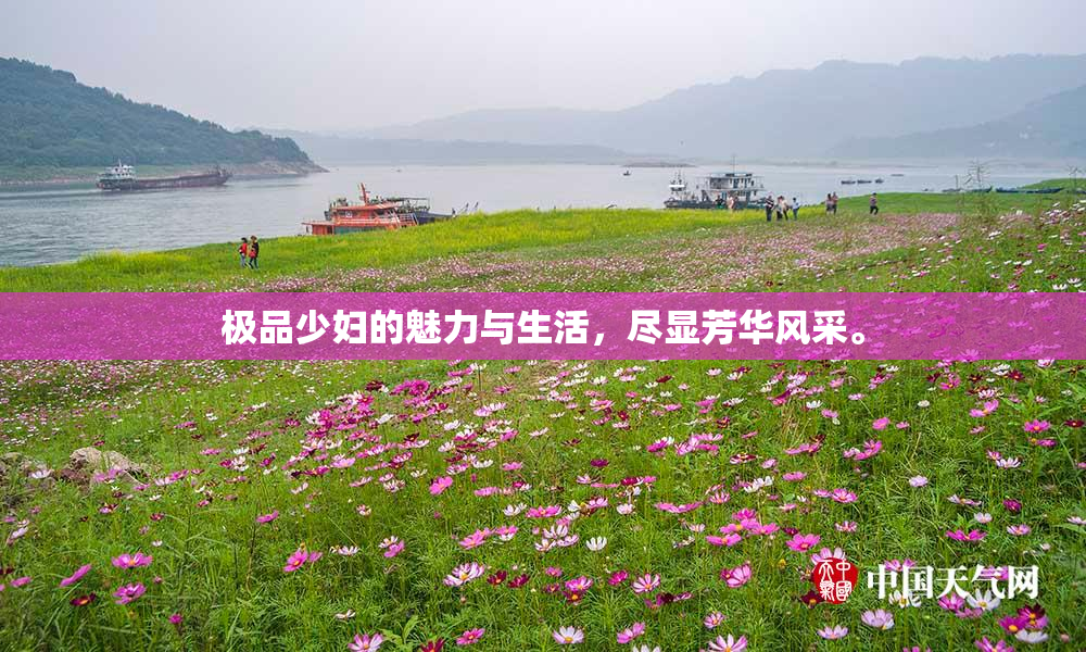 极品少妇的魅力与生活，尽显芳华风采。
