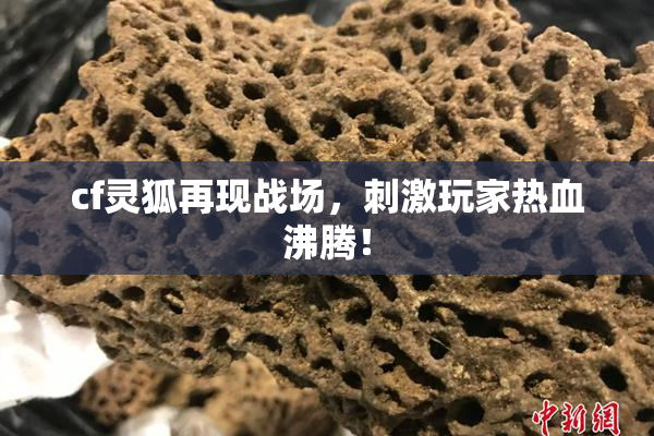 cf灵狐再现战场，刺激玩家热血沸腾！