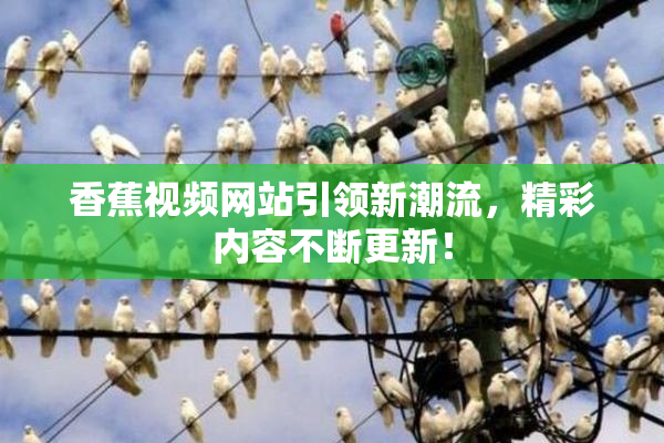 香蕉视频网站引领新潮流，精彩内容不断更新！