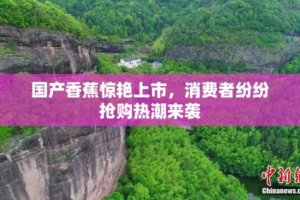 国产香蕉惊艳上市，消费者纷纷抢购热潮来袭