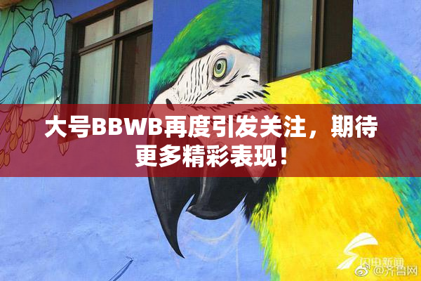 大号BBWB再度引发关注，期待更多精彩表现！