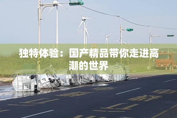 独特体验：国产精品带你走进高潮的世界