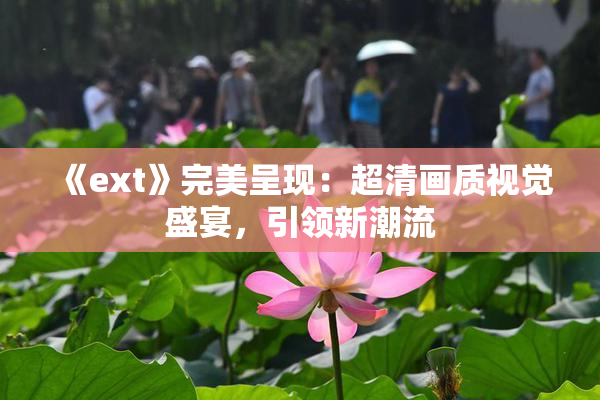 《ext》完美呈现：超清画质视觉盛宴，引领新潮流