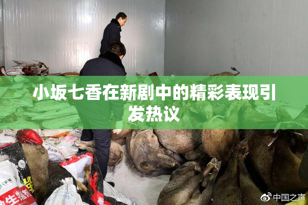 小坂七香在新剧中的精彩表现引发热议