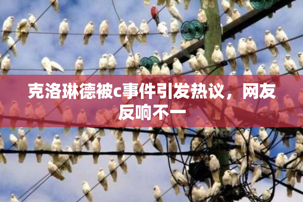 克洛琳德被c事件引发热议，网友反响不一