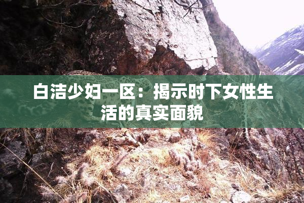 白洁少妇一区：揭示时下女性生活的真实面貌