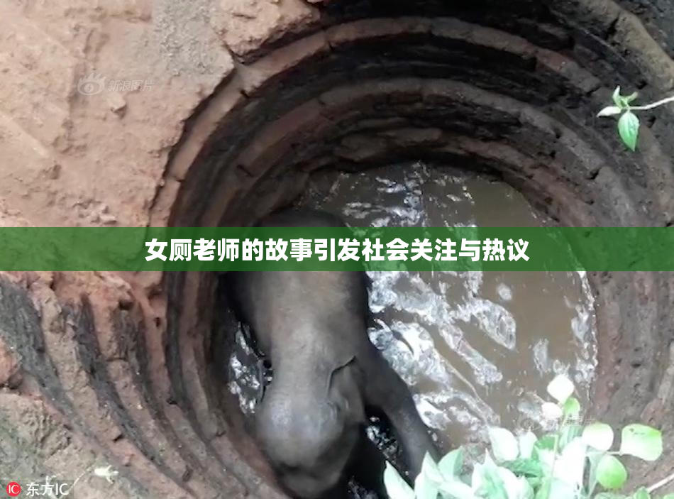 女厕老师的故事引发社会关注与热议