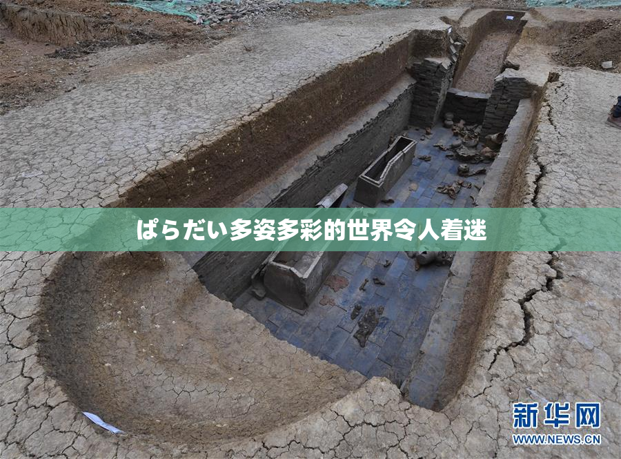 ぱらだい多姿多彩的世界令人着迷