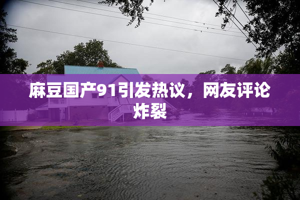 麻豆国产91引发热议，网友评论炸裂