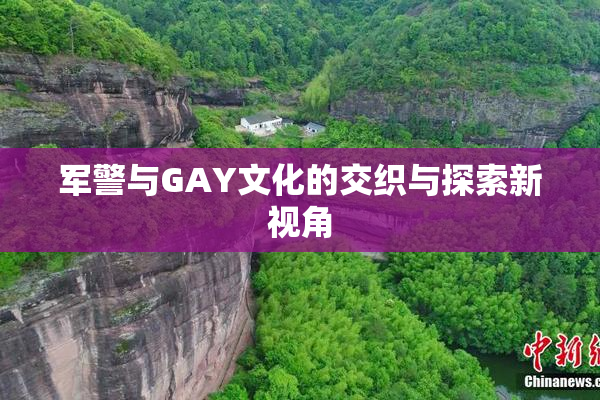 军警与GAY文化的交织与探索新视角