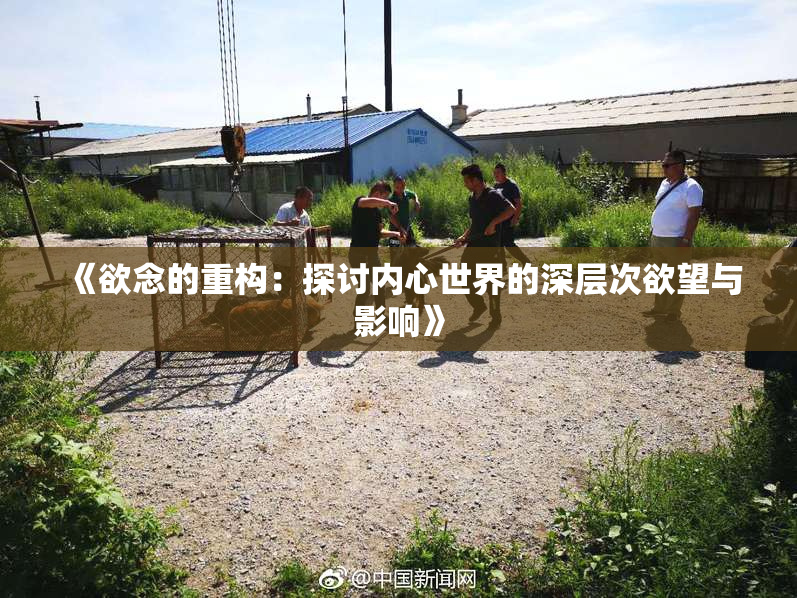 《欲念的重构：探讨内心世界的深层次欲望与影响》