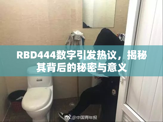 RBD444数字引发热议，揭秘其背后的秘密与意义