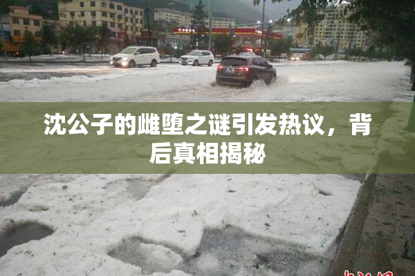沈公子的雌堕之谜引发热议，背后真相揭秘