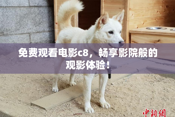 免费观看电影c8，畅享影院般的观影体验！