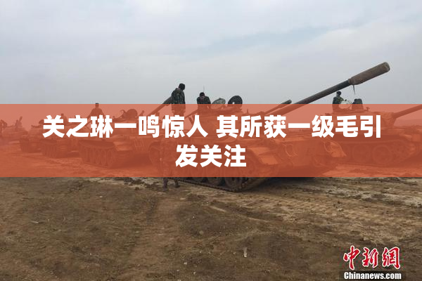 关之琳一鸣惊人 其所获一级毛引发关注