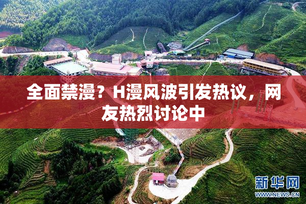 全面禁漫？H漫风波引发热议，网友热烈讨论中
