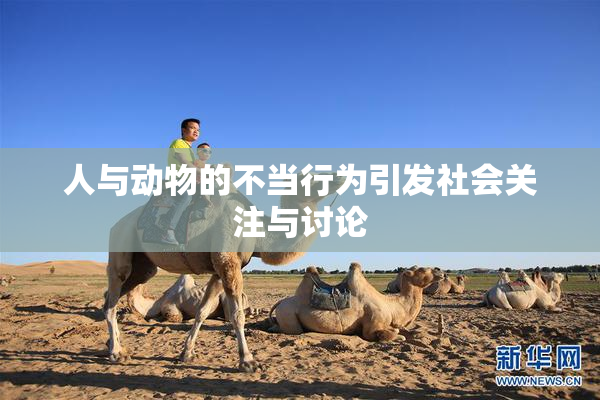 人与动物的不当行为引发社会关注与讨论